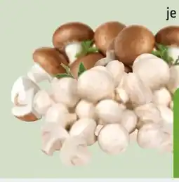 Edeka Xpress Bio-Champignons Angebot