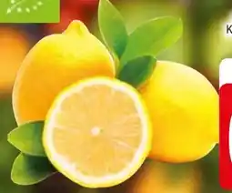Edeka Bio-Zitronen Angebot
