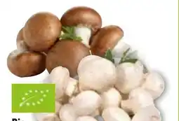 Edeka Bio-Champignons Angebot