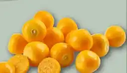 REWE Center Physalisbeeren Angebot