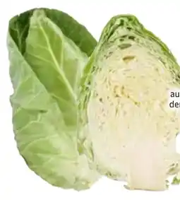 Edeka Spitzkohl Angebot