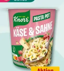 REWE Center Knorr Pasta Pot Käse & Sahne Angebot