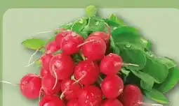 REWE Center Radieschen Angebot