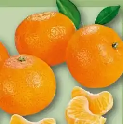 REWE Center Rewe Beste Wahl Mandarinen Angebot