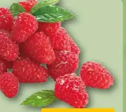REWE Center Himbeeren Angebot