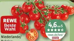 REWE Center Rewe Beste Wahl Mini Cherry Rispentomaten Delizioso Angebot