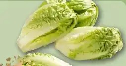 REWE Center Rewe Feine Welt Römersalat Extra fein Angebot