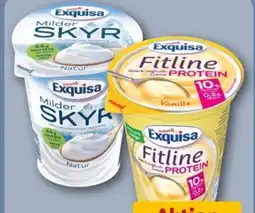REWE Center Exquisa Fitline Protein Angebot