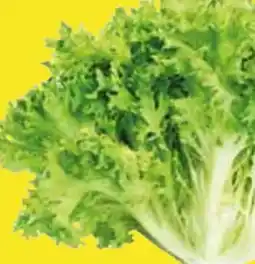Edeka Endiviensalat Angebot