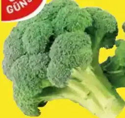 Edeka Gut & Günstig Brokkoli Angebot