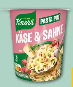 REWE Knorr Pasta Pot Käse & Sahne Angebot