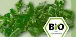 REWE Rewe Bio Feldsalat Angebot