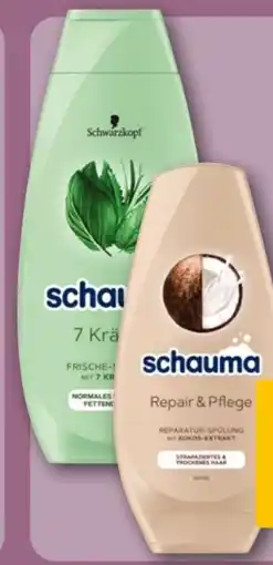 REWE Schwarzkopf Schauma Spülung Angebot