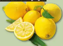 REWE Rewe Bio Zitronen Angebot