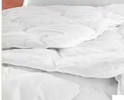 porta Brinkhaus Einziehdecke Silvercrown Angebot