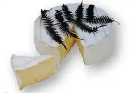 Scheck-in-Center Fougerus Weichkäse Angebot