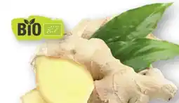 Scheck-in-Center Bio Ingwer Angebot