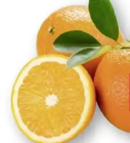 Scheck-in-Center Saftorangen Angebot