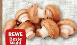 nahkauf Rewe Beste Wahl Champignons Angebot