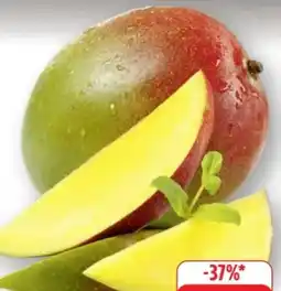 Edeka Gut & Günstig Mango Angebot