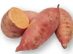 Scheck-in-Center Süßkartoffeln Angebot