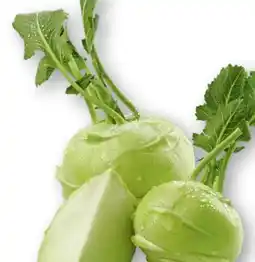 Scheck-in-Center Kohlrabimix Angebot