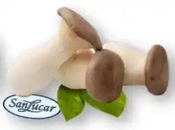 Scheck-in-Center SanLucar Kräuterseitlinge Angebot