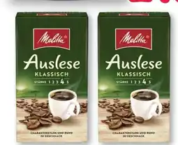 Scheck-in-Center Melitta Kaffee Auslese Angebot