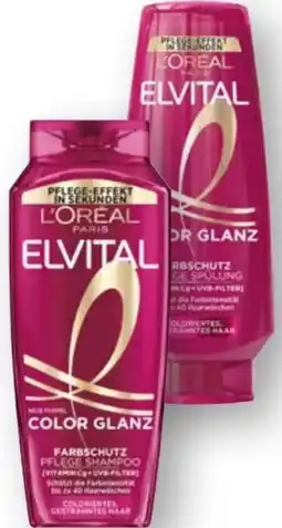 Scheck-in-Center L'Oréal Paris Elvital Shampoo Angebot