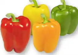 Edeka Paprika Rot Angebot