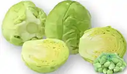 Edeka Rosenkohl Angebot