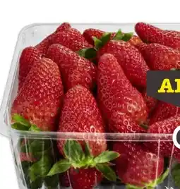 Scheck-in-Center Erdbeeren Angebot