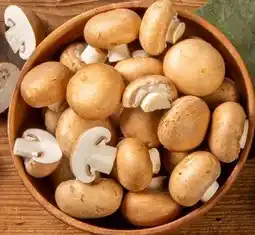 REWE Center Rewe Beste Wahl Champignons Angebot