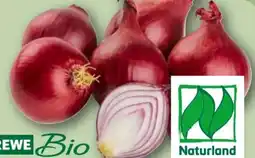REWE Rewe Bio Bio-Speisezwiebeln Angebot
