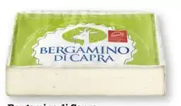 Scheck-in-Center Bergamino di Capra Angebot