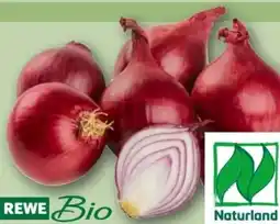 REWE Center Rewe Bio Bio-Speisezwiebeln Angebot