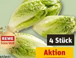 REWE Rewe Feine Welt Römersalat Extra fein Angebot