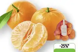 Edeka Bio Mandarinen Angebot