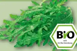 REWE Rewe Bio Bio-Rucola Angebot