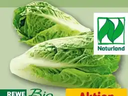 REWE Rewe Bio Romana Salatherzen Angebot