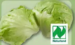 REWE Center Rewe Bio Bio-Eisbergsalat Angebot