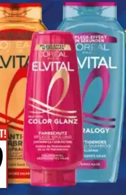 EDEKA Bandelt L'Oréal Paris Elvital Shampoo Angebot