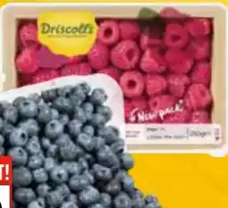 EDEKA Bandelt Driscoll's Kulturheidelbeeren Angebot