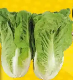 EDEKA Bandelt Bio Mini Romana Salatherzen Angebot