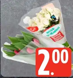Edeka Frischemarkt Gut & Günstig Tulpen Angebot