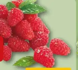 REWE Center Rewe Beste Wahl Frische Himbeeren Angebot