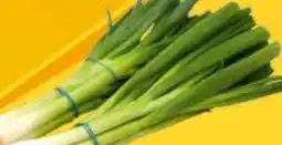 EDEKA Bandelt Lauchzwiebeln Angebot