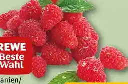 REWE Rewe Beste Wahl Frische Himbeeren Angebot