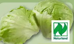 REWE Rewe Bio Bio-Eisbergsalat Angebot