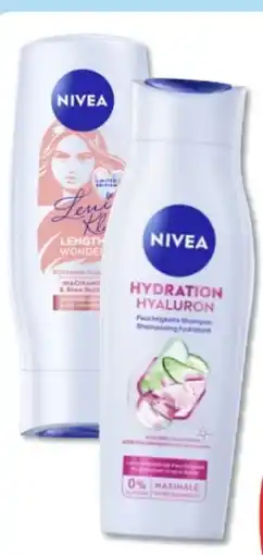 Budni Nivea Shampoo Angebot